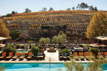 Top 5 Wine Country Getaways for Wellness-Focused Travelers